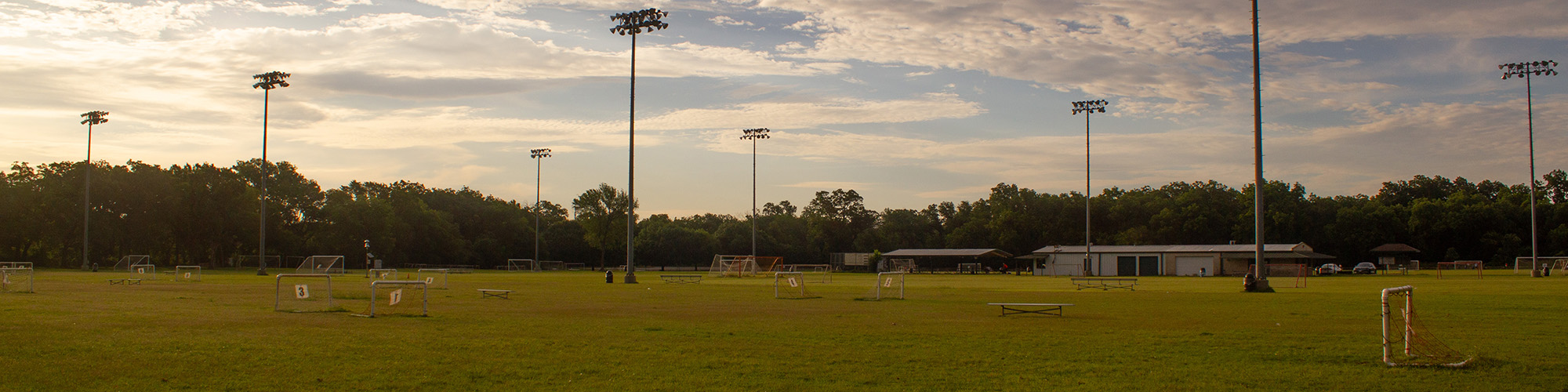 Fields